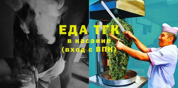 сатива Новозыбков