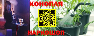 МДПВ Пушкино