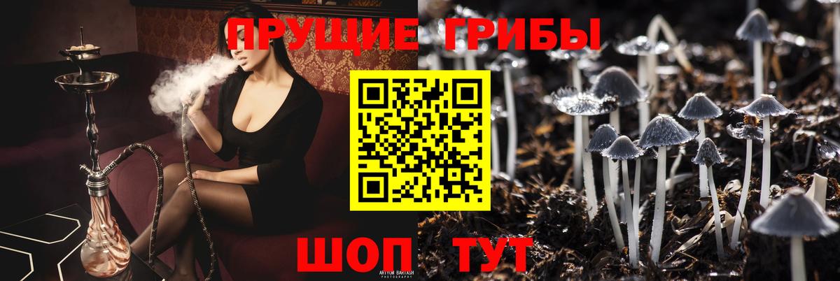 Псилоцибиновые грибы Cubensis  Вход с VPN  Партизанск 